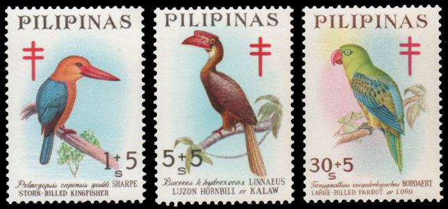 Birds