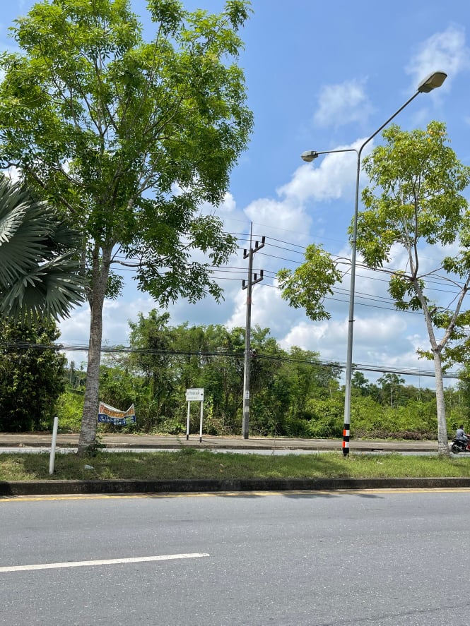 ขายที่ดินราคาถูกติดถนนใหญ่เพชรเกษม ตรงข้ามราชภัฏสวนดุสิตตรังอ.ห้วยยอดจ.ตรัง75ตรว.ใกล้โลตัสห้วยยอด 1 กม.เหมาะแก่การทำธุรกิจราคา2.1ล้านบาท