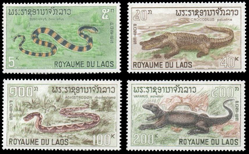 Reptiles 1967