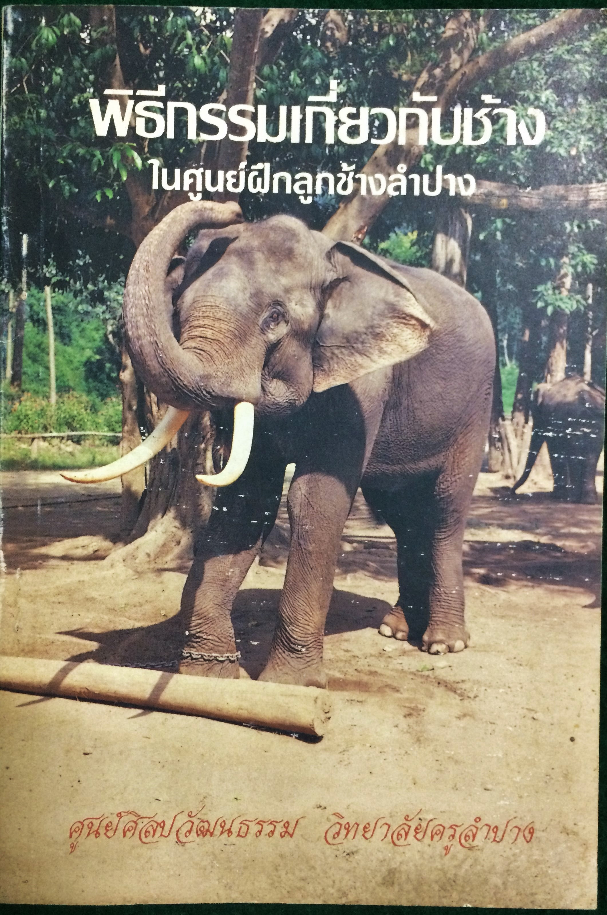 พิธีกรรมเกี่ยวกับช้างในศูนย์ฝึกลูกช้างลำปาง