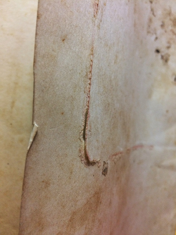 วรรณคดีบางเรื่อง