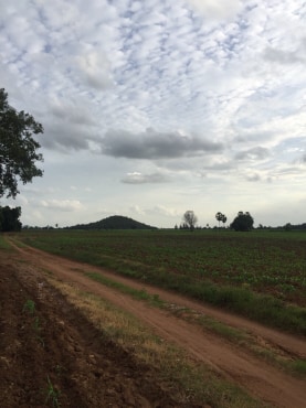 ขายที่ดินสวยราคาถูกที่สุด ห่างจากทุ่งดินดำรีสอร์ท 1.78กม.บรรยากาศดีทิวเขาสวยเหมาะทำการเกษตรอยู่อาศัยอ.อู่ทองจ.สุพรรณบุรี