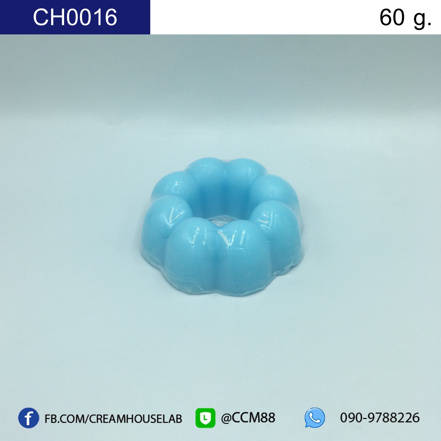 รหัส CH0016