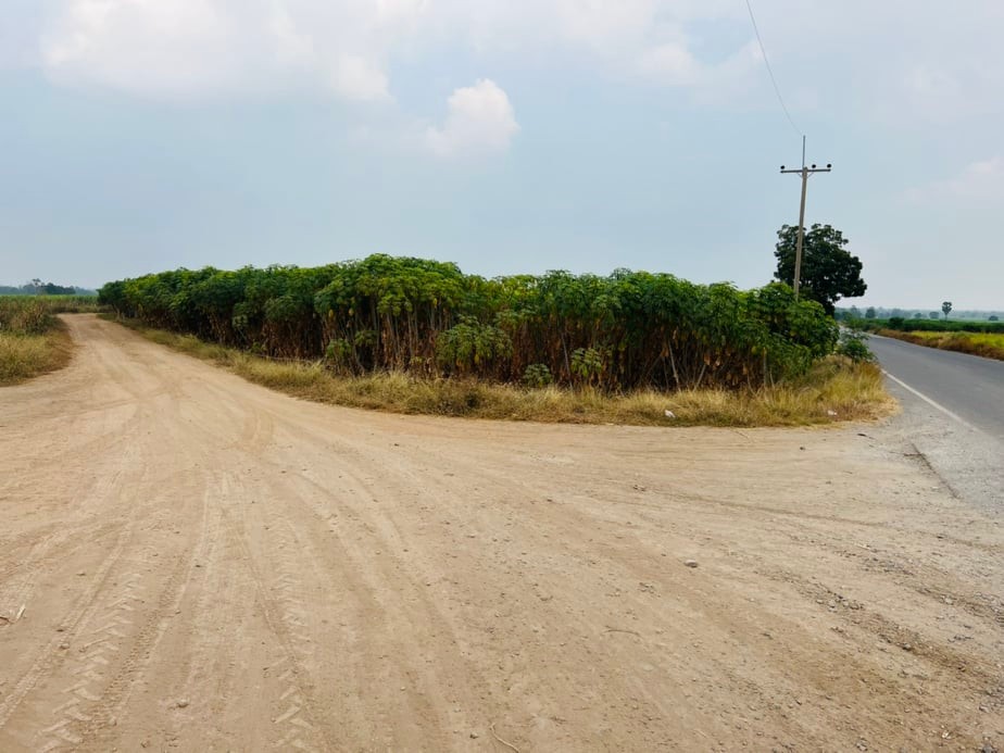 ขายที่ดินราคาถูก1.5แสนบาท/ไร่ อ.พยุหะคีรีจ.นครสวรรค์ใกล้อบต.เขาทองที่ดินสวยเหมาะทำการเกษตรปัจจุบันให้เช่าทำไร่อ้อย(มีผู้เช่า)บรรยากาศดีเดินทางสะดวก