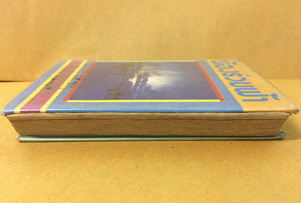 น้องร่วมฟ้า (เล่มเดียวจบ)