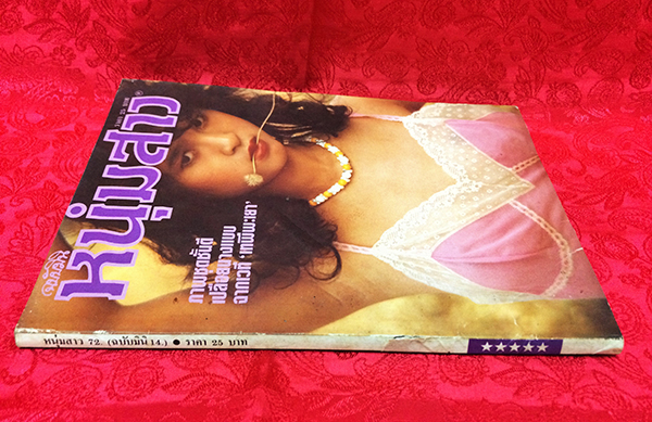 หนุ่มสาว ฉบับมินิ เล่มที่ 14