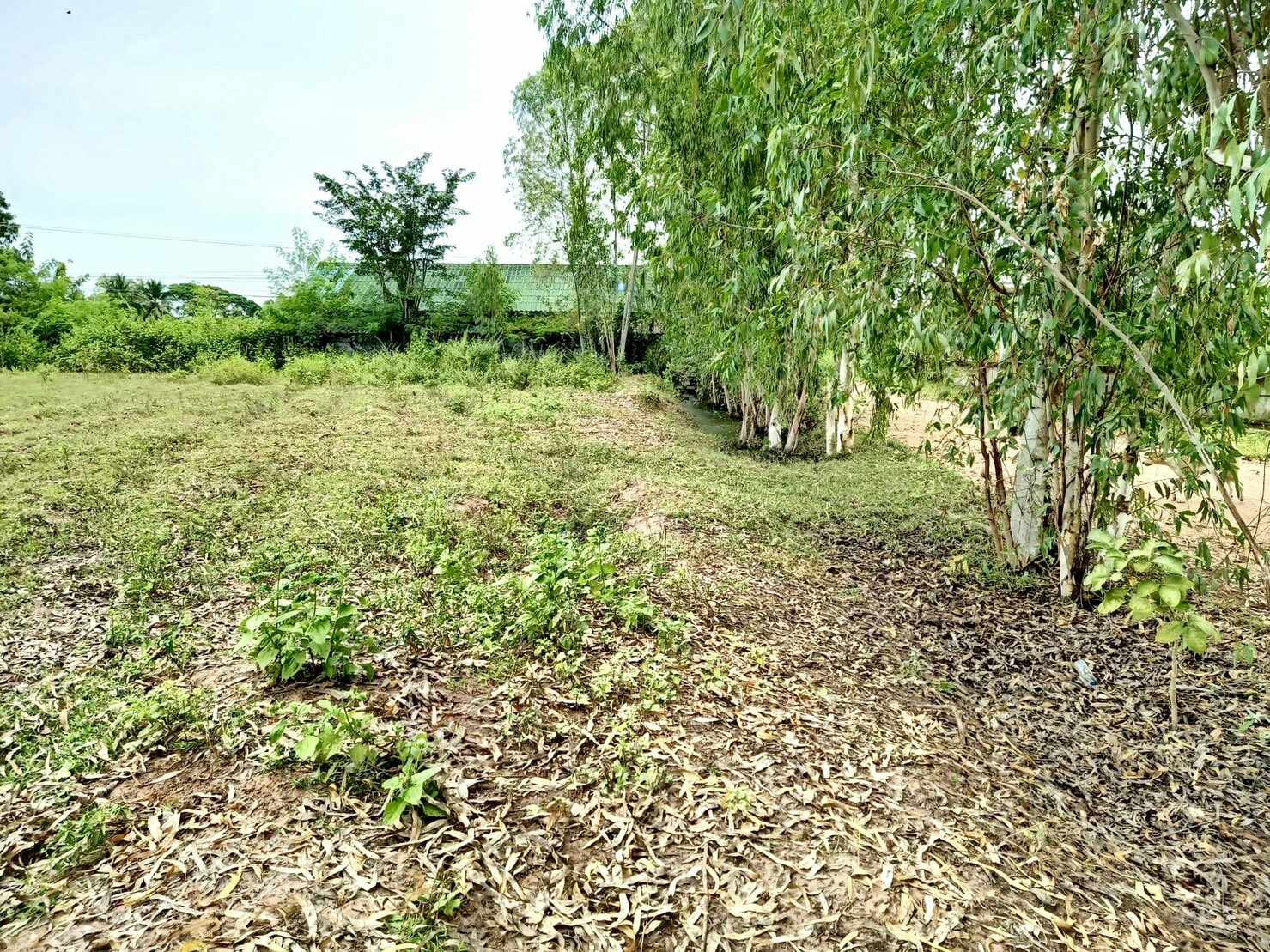 📢💥ที่ดินราคาถูกติดถนนลาดยางงานละ325,000บาทใกล้ตลาดสดซำสูงจ.ขอนแก่นใกล้โรงเรียนเหมาะสร้างบ้านอยู่อาศัยหรือทำธุรกิจสนใจติดต่อเจ้าของตามเบอร์ท้ายประกาศ📢💥