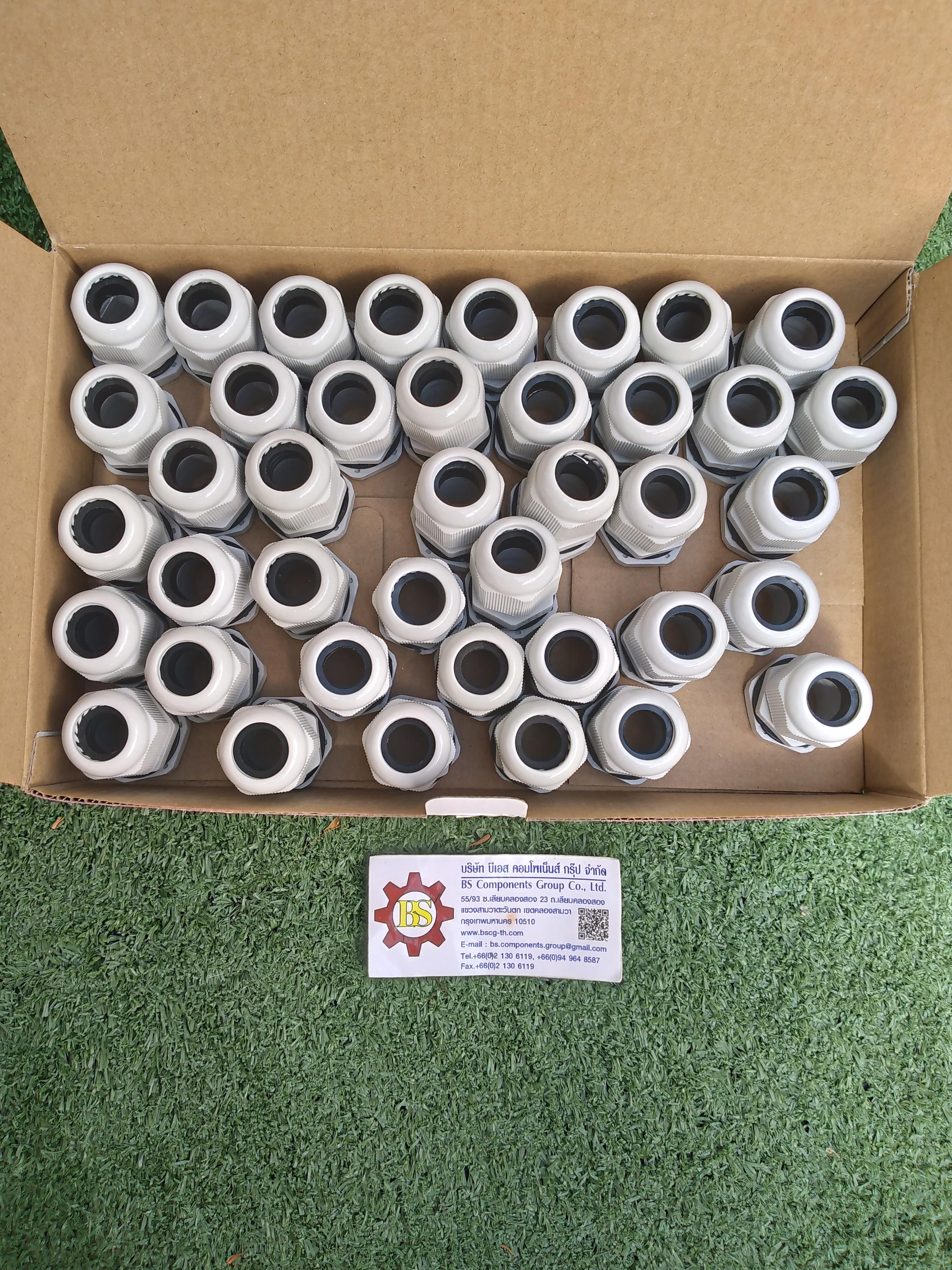 SHINOHAWA : ไน่ลอน เคเบิ้ลแกลน M20 IP68 สีเทา