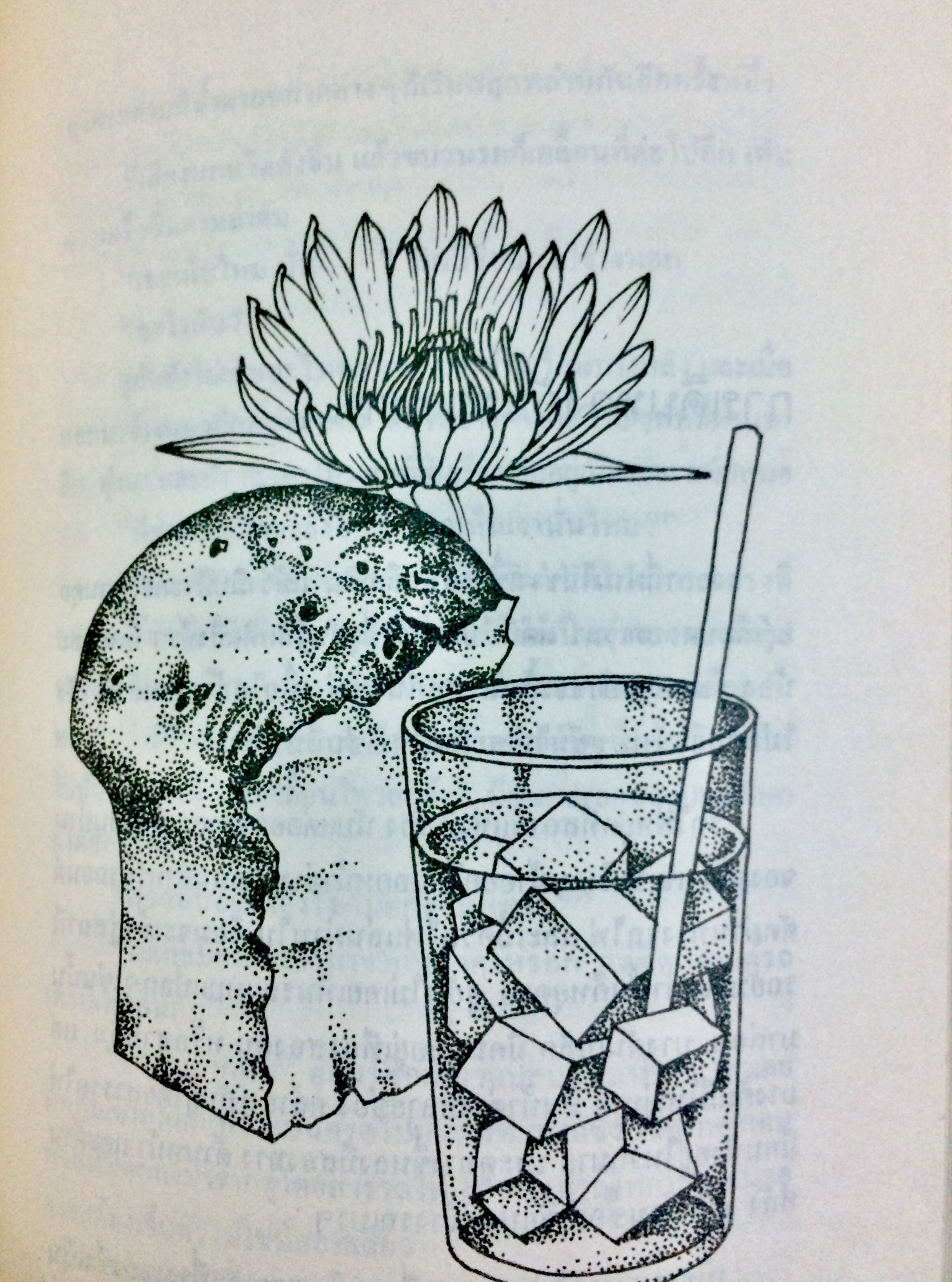 ผีเสื้อและดอกไม้