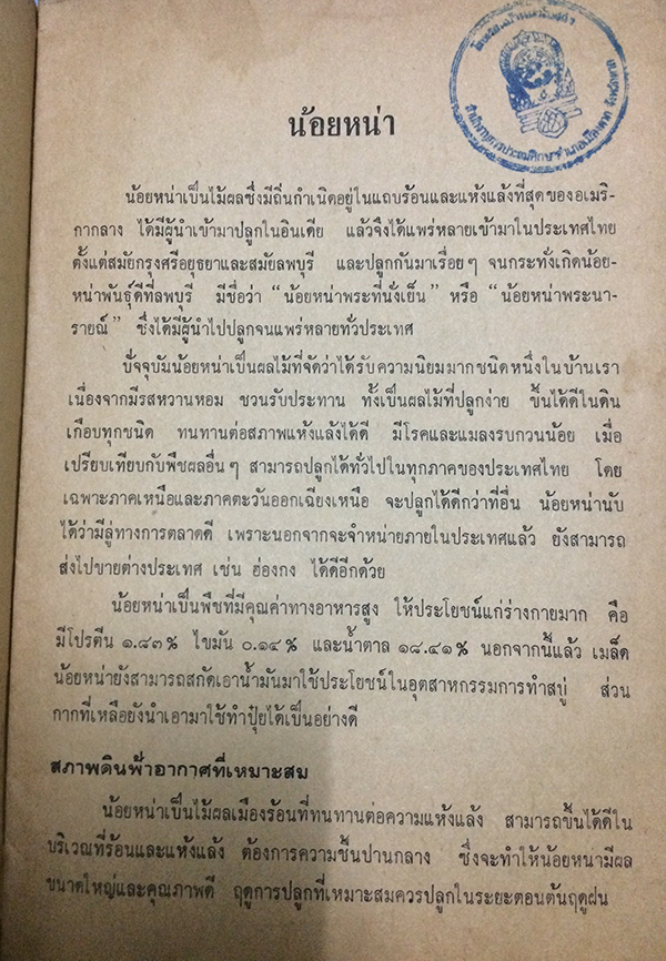 การปลูกน้อยหน่า