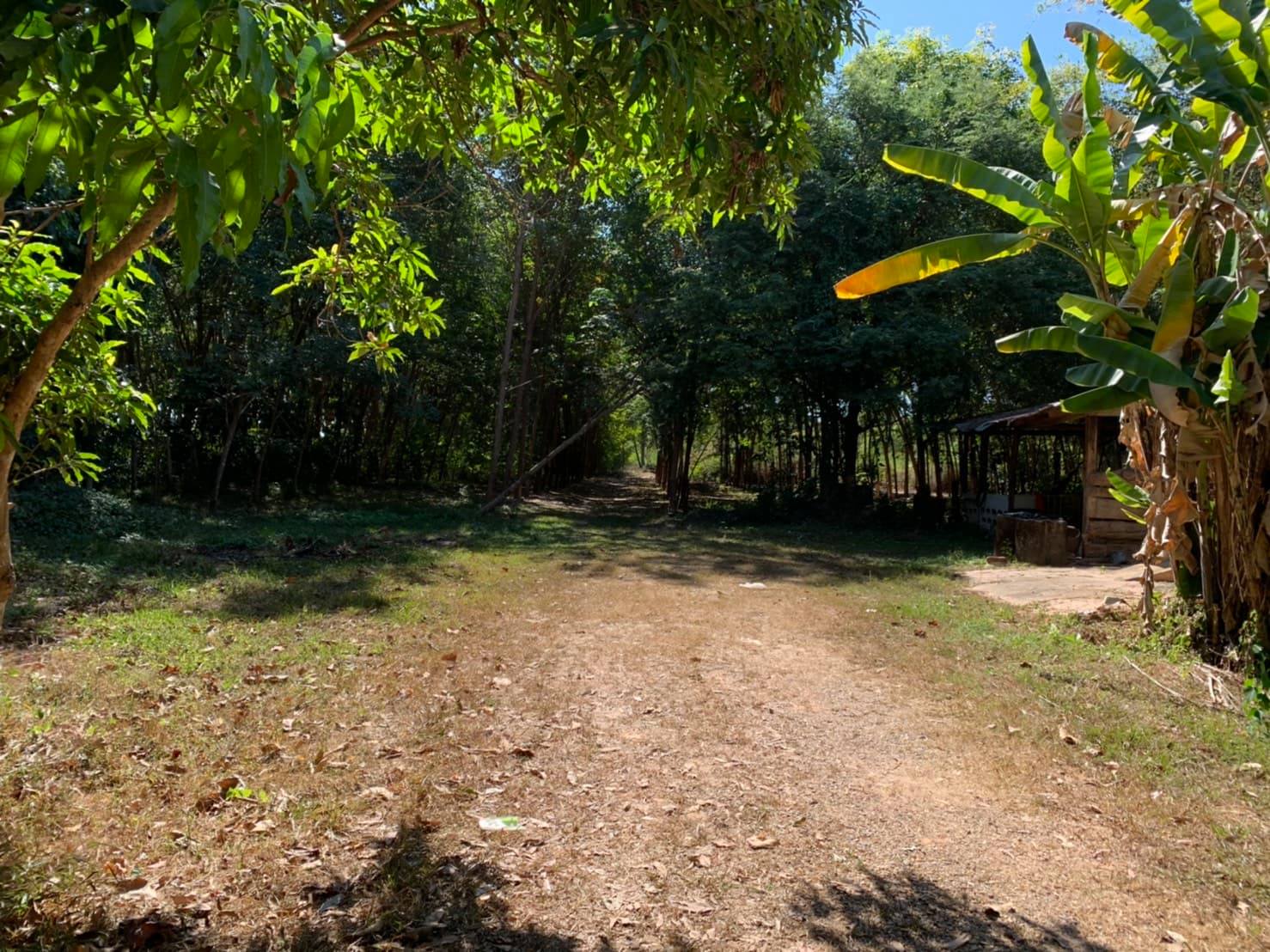 ขายที่อำเภอรัตนวาปี (เจ้าของขายเอง) ไม่มีนายหน้า !!!