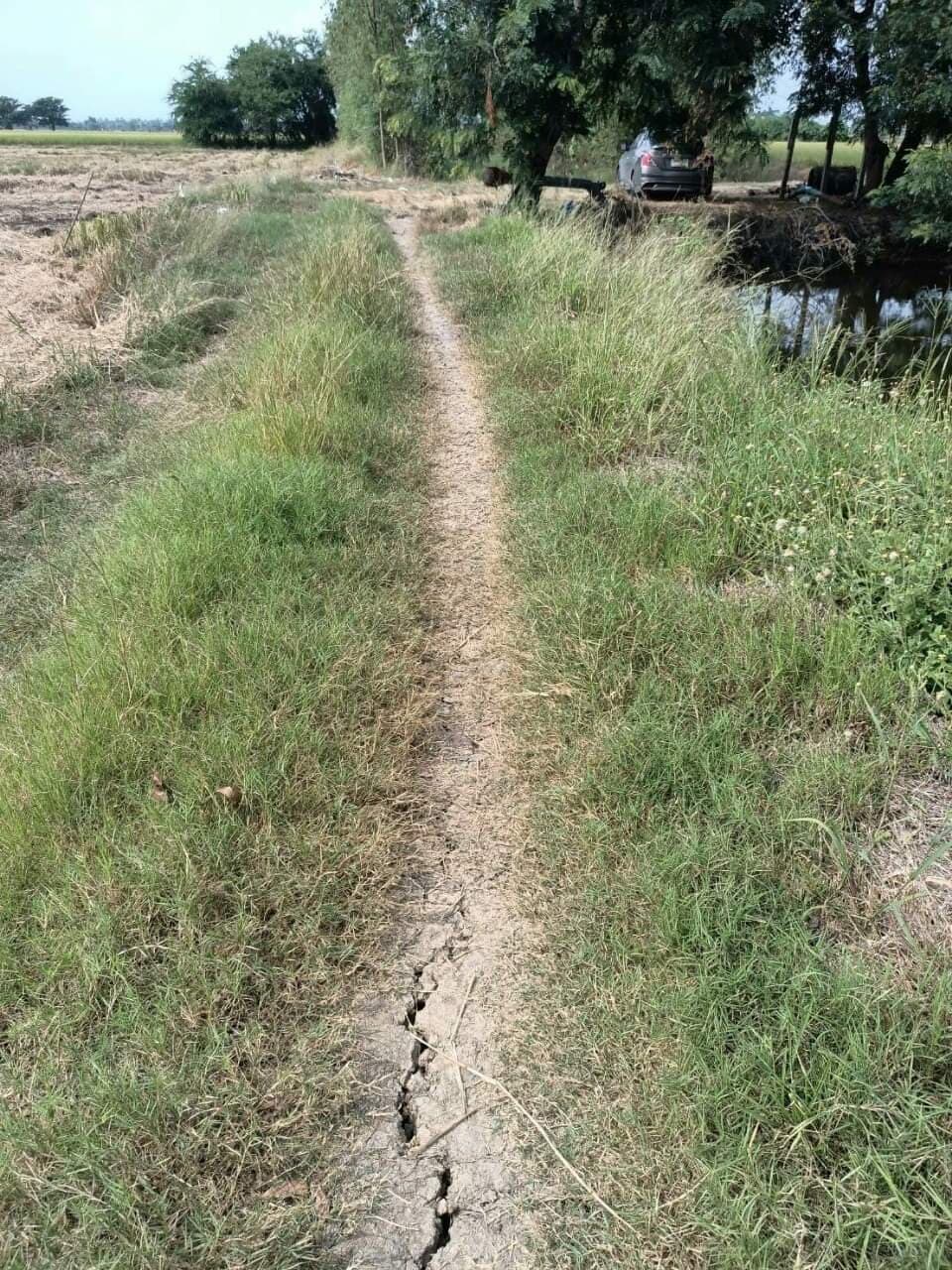 ขายที่ดิน อ.สามชุก จ.สุพรรณบุรี 12 ไร่ 3 งาน 68 ตรว. ใกล้ถนนหลวงชนบทสุพรรณบุรี (4022) 200 ม.เหมาะแก่การทำการเกษตรบรรยากาศดีเดินทางสะดวกใกล้โรงเรียนบ้านหนองบัวทอง 600 เมตร