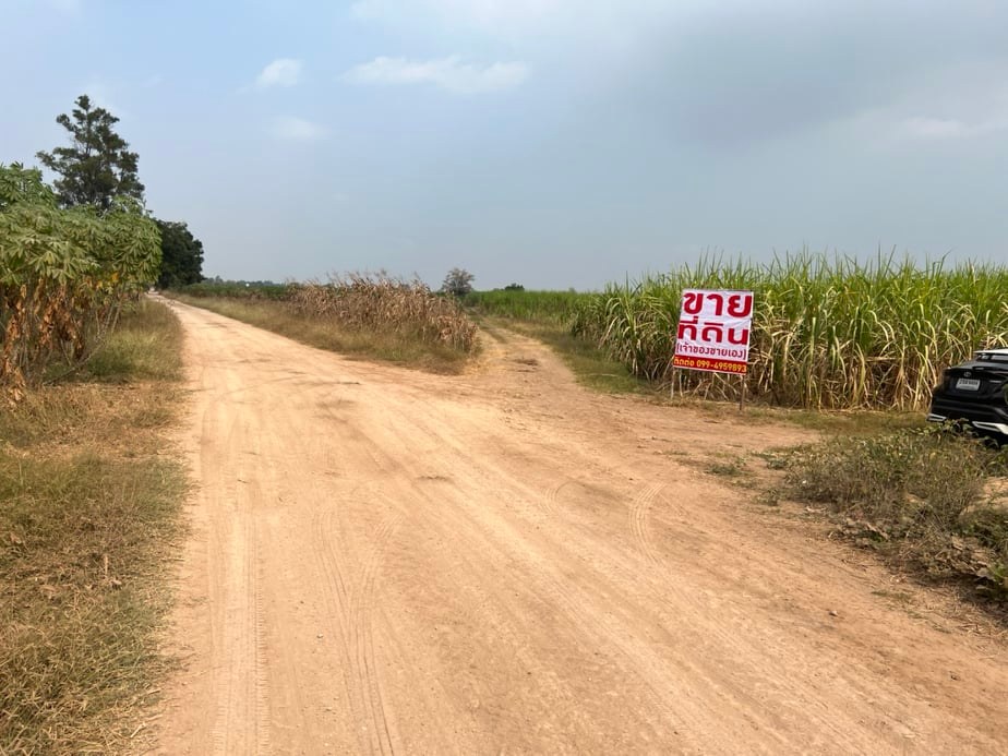 ขายที่ดินราคาถูก1.5แสนบาท/ไร่ อ.พยุหะคีรีจ.นครสวรรค์ใกล้อบต.เขาทองที่ดินสวยเหมาะทำการเกษตรปัจจุบันให้เช่าทำไร่อ้อย(มีผู้เช่า)บรรยากาศดีเดินทางสะดวก