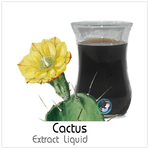 Cactus Extract Liquid / สารสกัด กระบองเพชรชนิดน้ำ ต้านอนุมูลอิสระ บำรุงผิวให้ชุ่มชื้น เหมาะสำหรับผิวแห้ง
