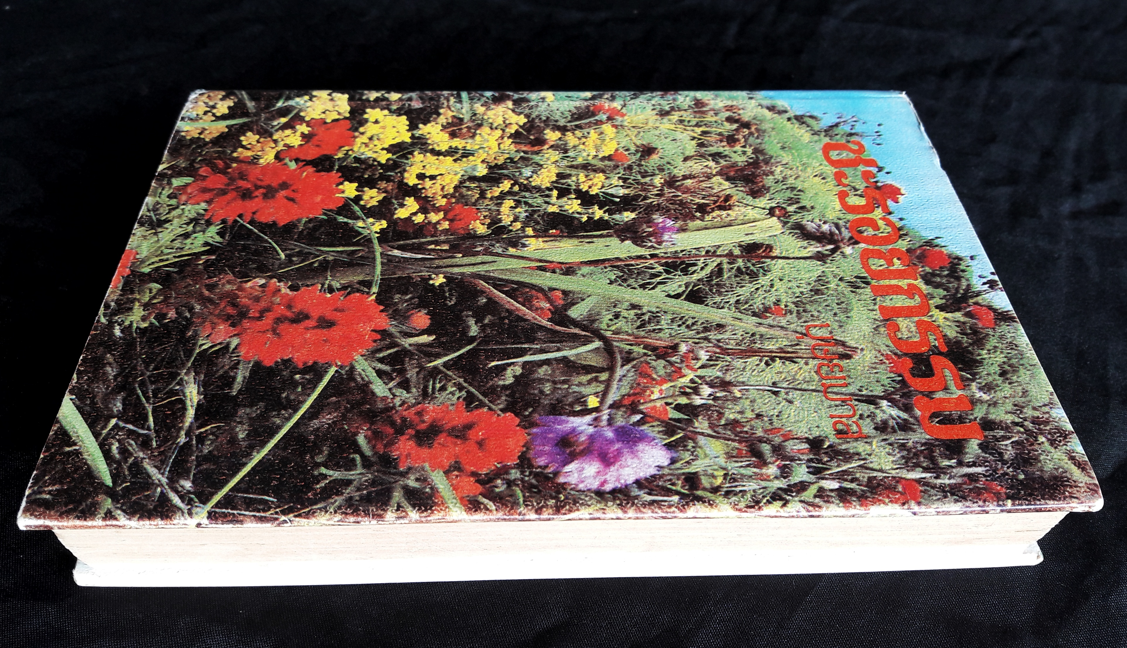 ชะรอยกรรม (เล่มเดียวจบ)