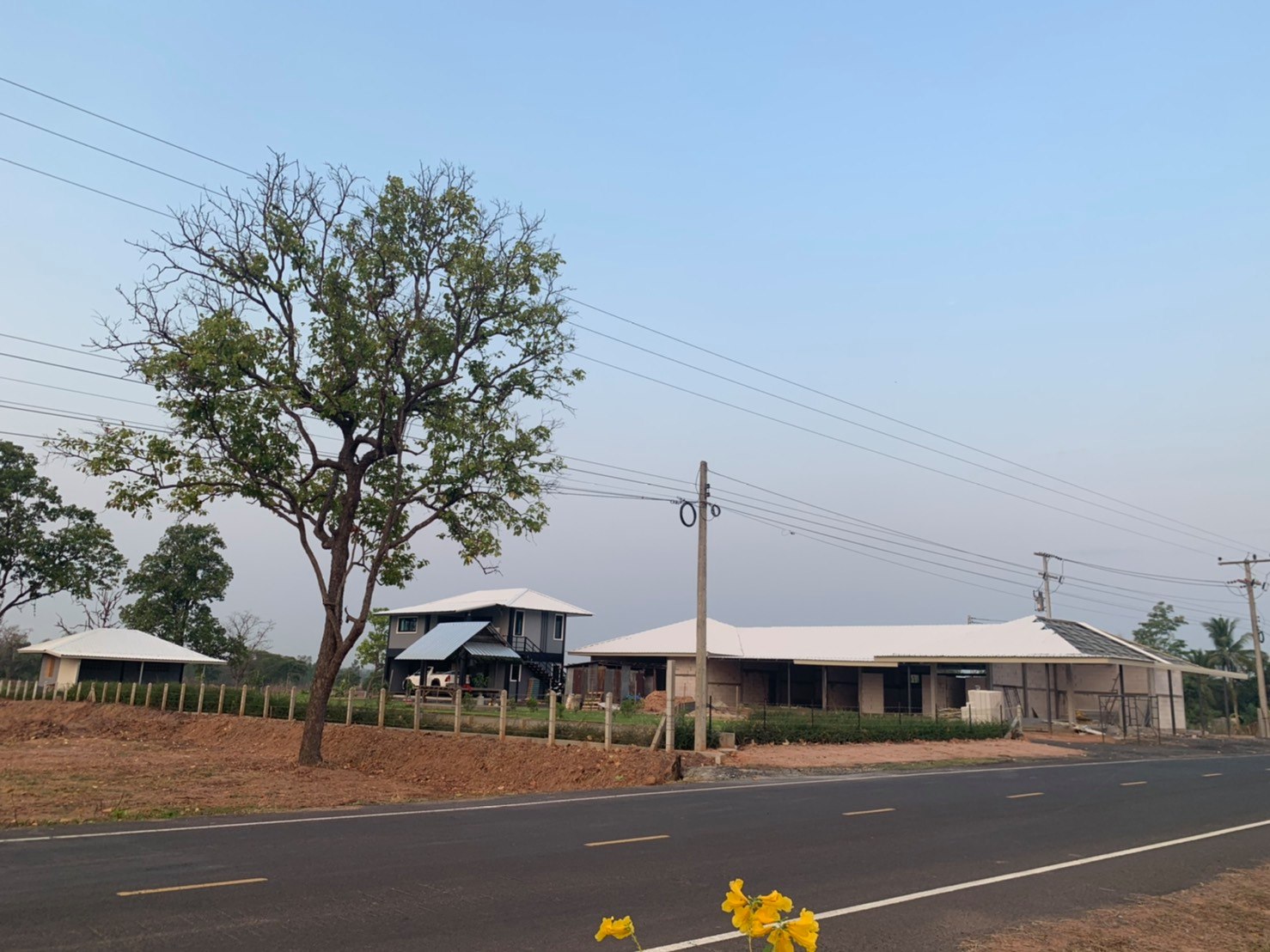 ขายบ้านพร้อมที่ดินมีพื้นที่สวนกว้างขวางพร้อมสำหรับทุกคนในครอบครัว2ไร่13ตรว.ติดถนนใหญ่ใกล้อบต.ป่าชัน 340 เมตร จ.บุรีรัมย์