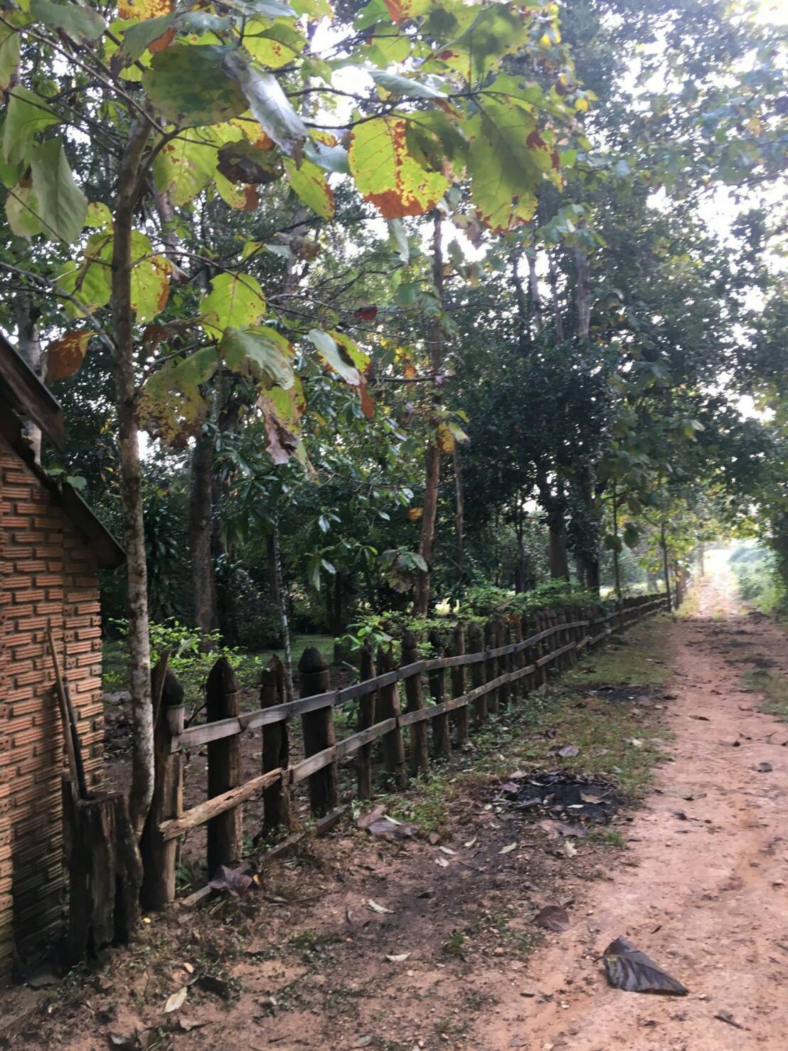 ขายที่ดินพร้อมสิ่งปลูกสร้าง อ.เมืองปาง จ.ลำปาง บริเวณล้อมรอบด้วยป่าสงวนแห่งชาติ ปกคลุมด้วยภูเขา และป่าไม้ร่มรื่น เงียบสงบปลอดภัยใกล้หมู่บ้านเดินทางสะดวกเหมาะสำหรับผู้รักในธรรมชาติ