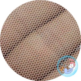 ผ้าโปร่งสีขาว / ผ้าตาข่าย หน้ากว้าง 140 ซม. ยาว 1 เมตร