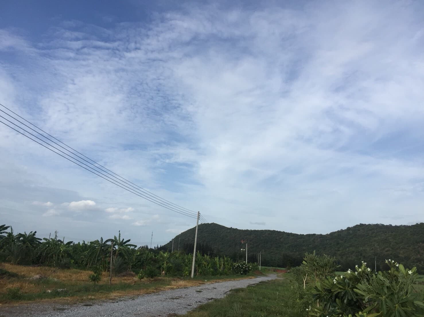 ขายที่ดินจัดสรรค์สวยราคาถูกติดถนน 3 ด้านห่างทุ่งดินดำรีสอร์ท 548 เมตร ใกล้อบต. เลาขวัญ 2.8 กม. รพ.เลาขวัญ4.8กม.อ.อู่ทอง จ.สุพรรณบุรี