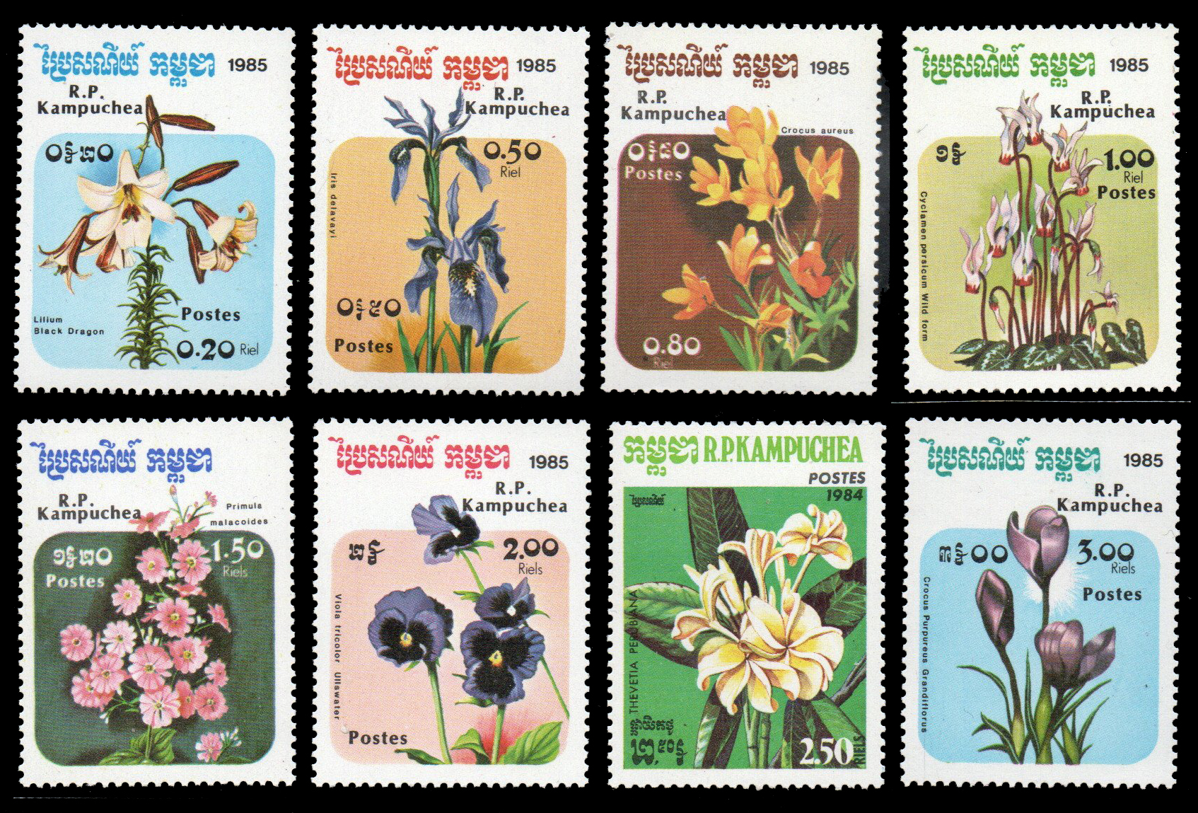 1985 Flowers