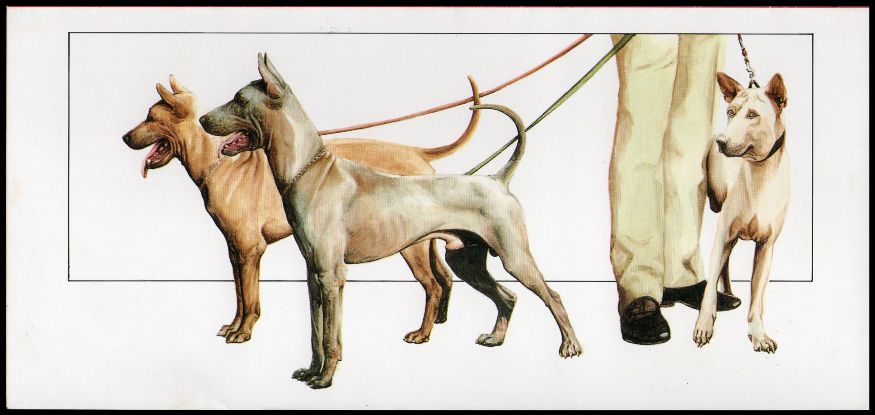 บัตรตราไปรษณียากรที่ระลึกสัปดาห์สากลแห่งการเขียนจดหมาย 2536