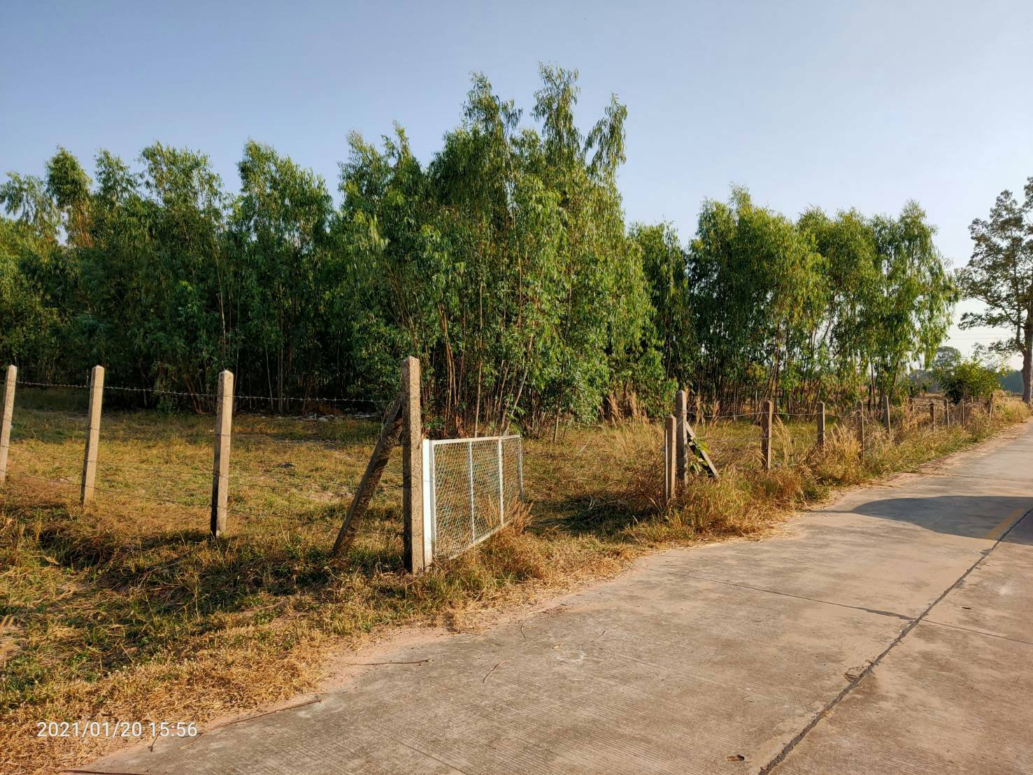 ขายที่ดินใกล้โรบินสันร้อยเอ็ด 7 ไร่ 86.4 ตรว.ติดถนนคอนกรีตบรรยากาศดีการเดินทางสะดวกสบายเหมาะทำธุรกิจอ.เมืองร้อยเอ็ด