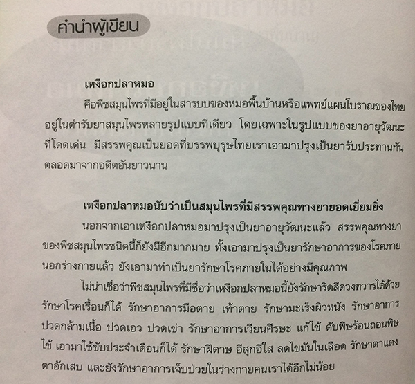 เหงือกปลาหมอ