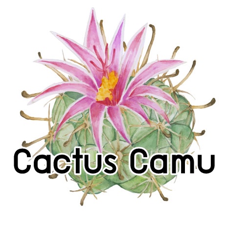 Cactus camu น้ำมันหอม แคคตัส คามู Sweet Green Lactonic สดใส. สดชื่น จากแรงบันดาลใจของฤดูร้อน ละลายในแอกอฮอล์และน้ำมัน - ไม่เร่งเทรซ