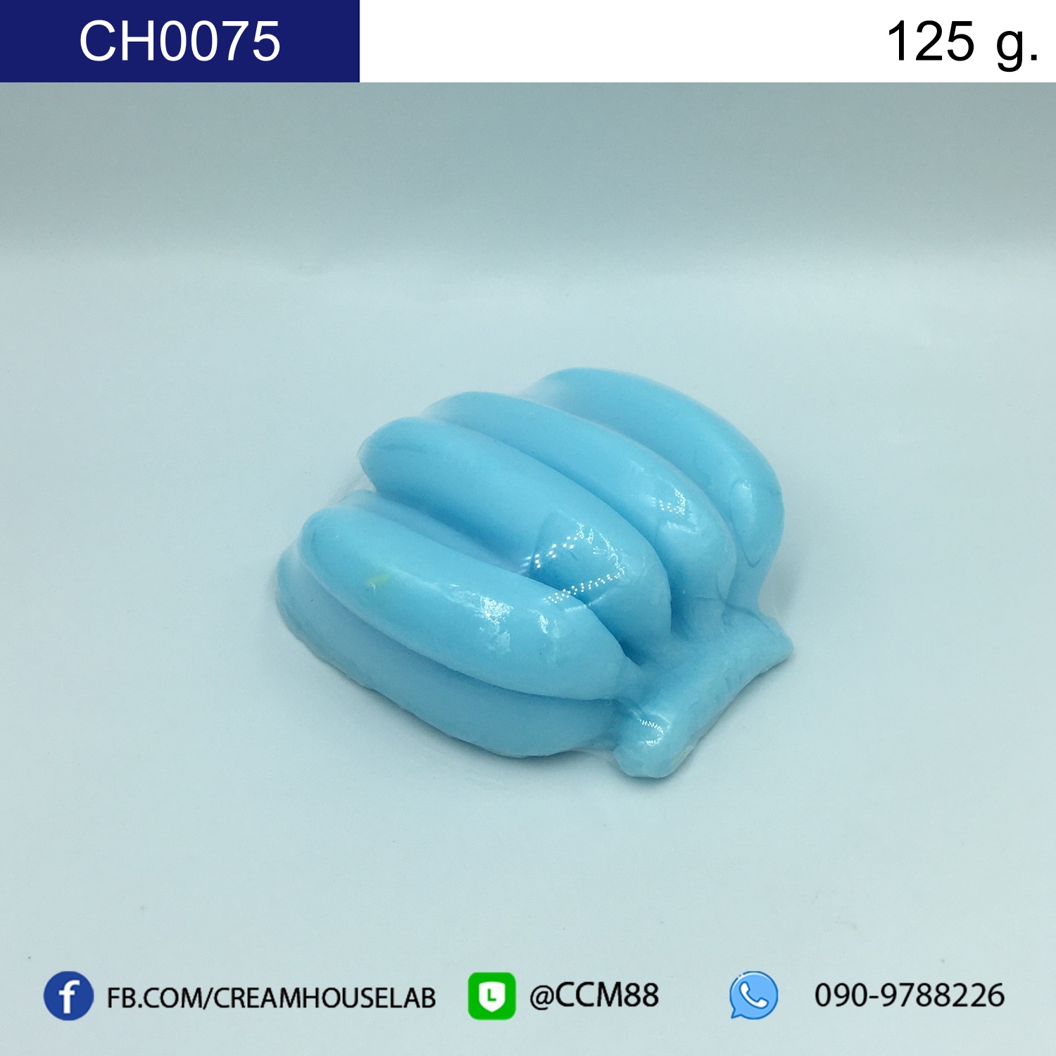 รหัส CH0075
