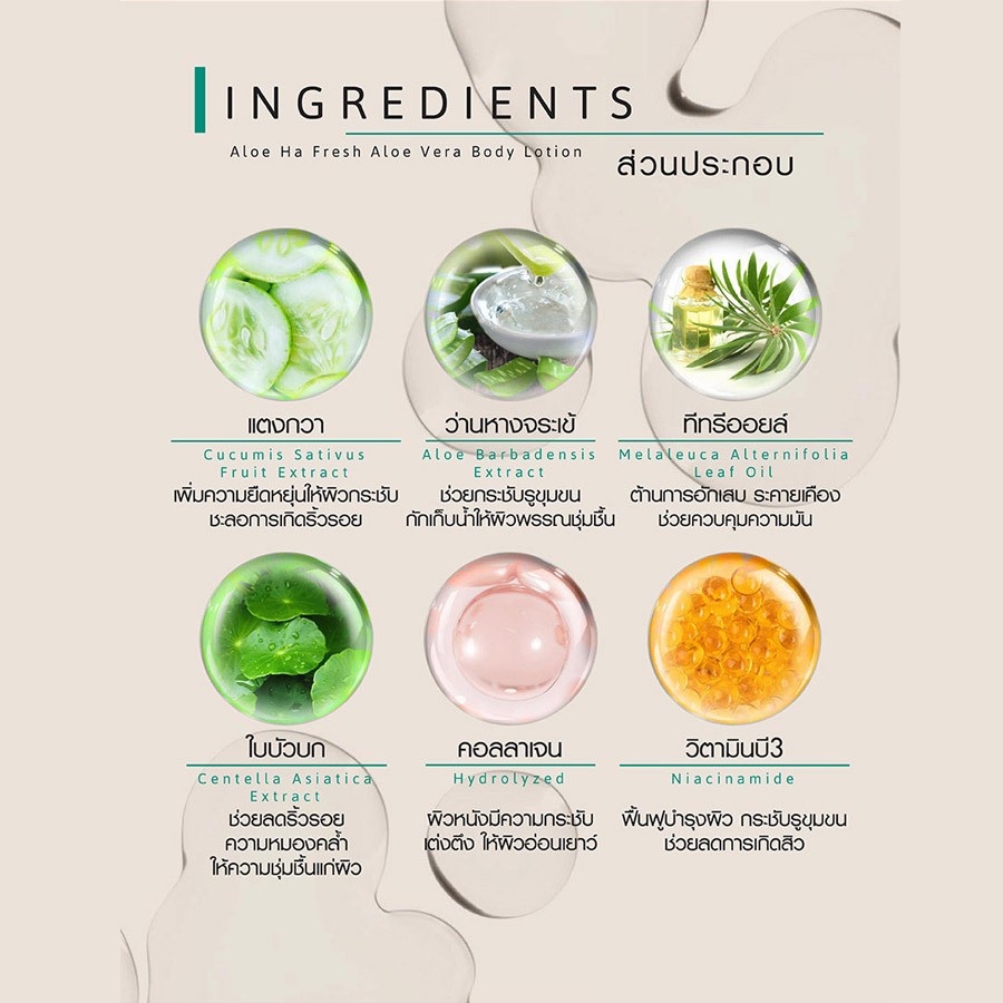 โลชั่นบำรุงผิวกาย สูตรว่านหาง Cathy Doll Aloe Ha Fresh Aloe Vera Body Lotion 95% บอดี้โลชั่น อโลเวร่าสกัด ผิวฉ่ำไบร์ท
