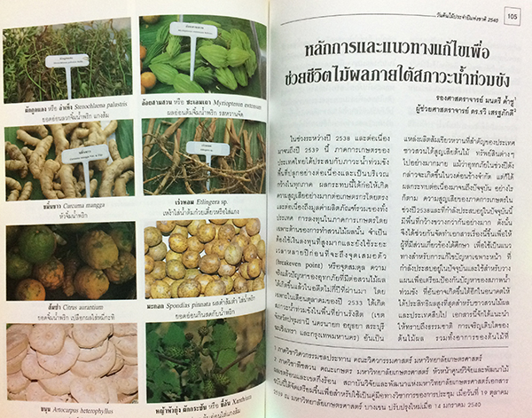 วันต้นไม้ประจำปีแห่งชาติ 2540