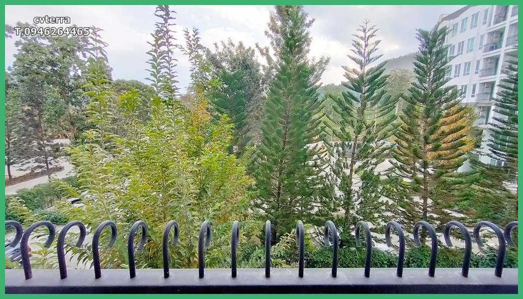 ขายคอนโดเขาใหญ่ เดอะคอร์ทยาร์ด ห้องชั้น 4 คอนโดเพื่อการพักผ่อน และ ลงทุนที่คุ้มค่า โซนหน้า วิวสระ และ ภูเขา