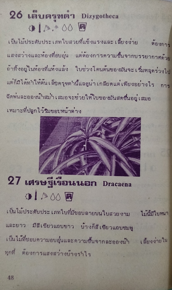 พันธ์ุไม้ในบ้านและการประดับตกแต่ง