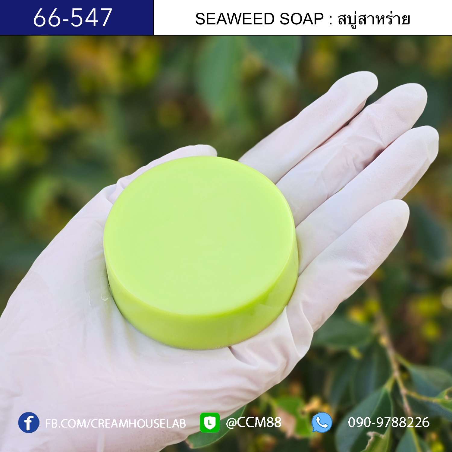 สบู่สาหร่าย