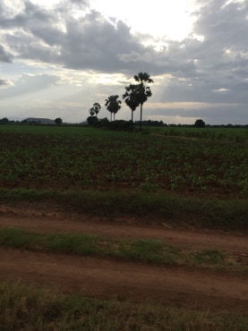 ขายที่ดินสวยราคาถูกที่สุด ห่างจากทุ่งดินดำรีสอร์ท 1.78กม.บรรยากาศดีทิวเขาสวยเหมาะทำการเกษตรอยู่อาศัยอ.อู่ทองจ.สุพรรณบุรี