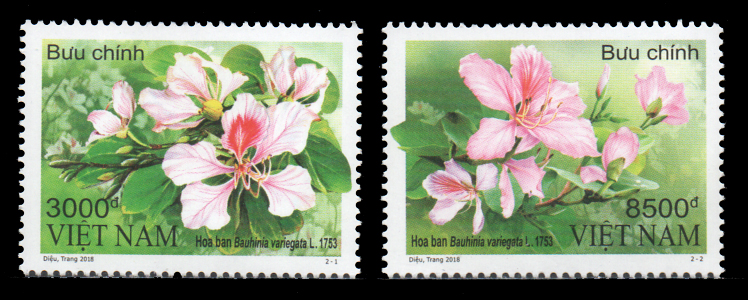 Flowers 2018