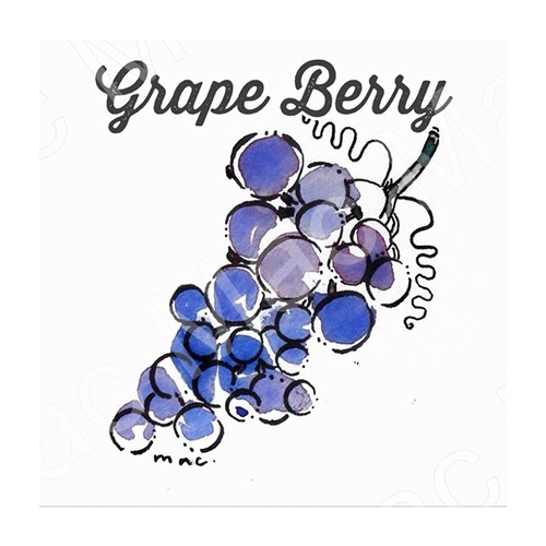 Grape :Grape berry หัวน้ำหอม เกรฟเบอรี่ Aroma Fruity Sweet หอมสดชื่น นุ่มนวล หวานอมเปรี้ยว ละลายในแอกอฮอล์และน้ำมัน - ไม่เร่งเทรซ COA