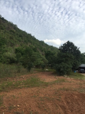 ขายที่ดินสวยราคาถูกที่สุด ห่างจากทุ่งดินดำรีสอร์ท 1.78กม.บรรยากาศดีทิวเขาสวยเหมาะทำการเกษตรอยู่อาศัยอ.อู่ทองจ.สุพรรณบุรี