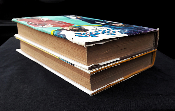 ระเริงชล (เล่ม 1-2 จบ)