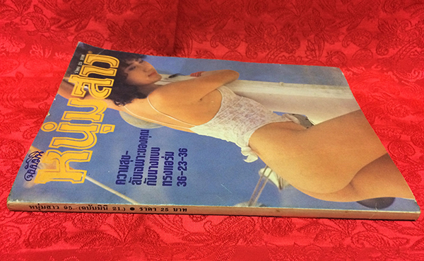 หนุ่มสาว ฉบับมินิ เล่มที่ 21