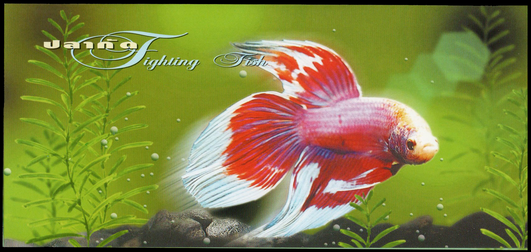 บัตรตราไปรษณียากรที่ระลึกปลากัด 2545