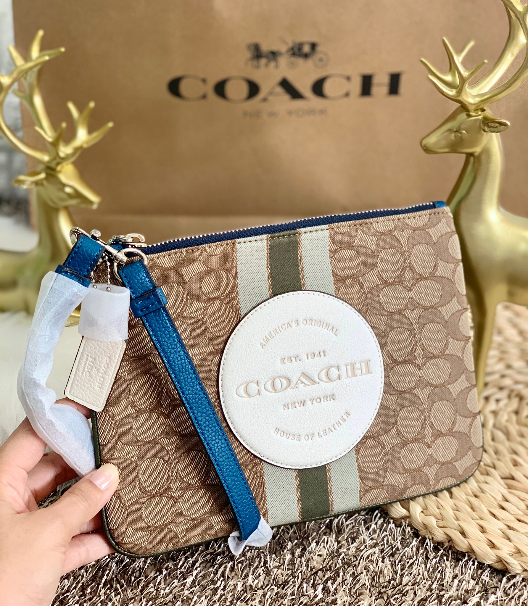 กระเป๋าคล้องมือใบใหญ่แบรนด์เนมโค้ชหนังแท้หนังแคนวาสสีเบจครีมขาวลายC COACH DEMPSEY GALLERY POUCH IN SIGNATURE JACQUARD WITH STRIPE AND COACH PATCH ((2633))