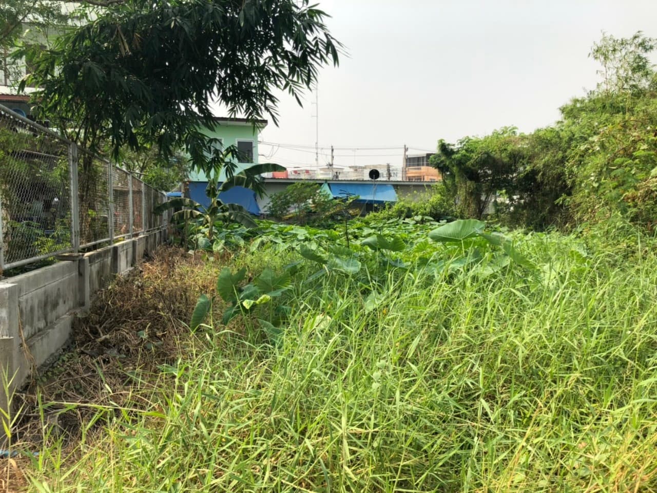 ขายที่ดินราคาถูกกลางเมืองอุทัยธานีห่างจากสถานีขนส่งผู้โดยสารอุทัยธานี 285 เมตร