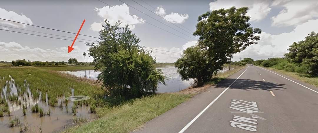 ขายที่ดิน อ.สามชุก จ.สุพรรณบุรี 12 ไร่ 3 งาน 68 ตรว. ใกล้ถนนหลวงชนบทสุพรรณบุรี (4022) 200 ม.เหมาะแก่การทำการเกษตรบรรยากาศดีเดินทางสะดวกใกล้โรงเรียนบ้านหนองบัวทอง 600 เมตร