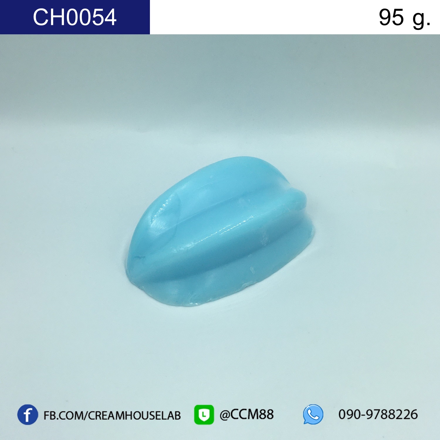 รหัส CH0054