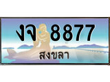 เลขทะเบียนรถ สงขลา งจ 8877 เลขประมูล จากเฮงทะเบียน