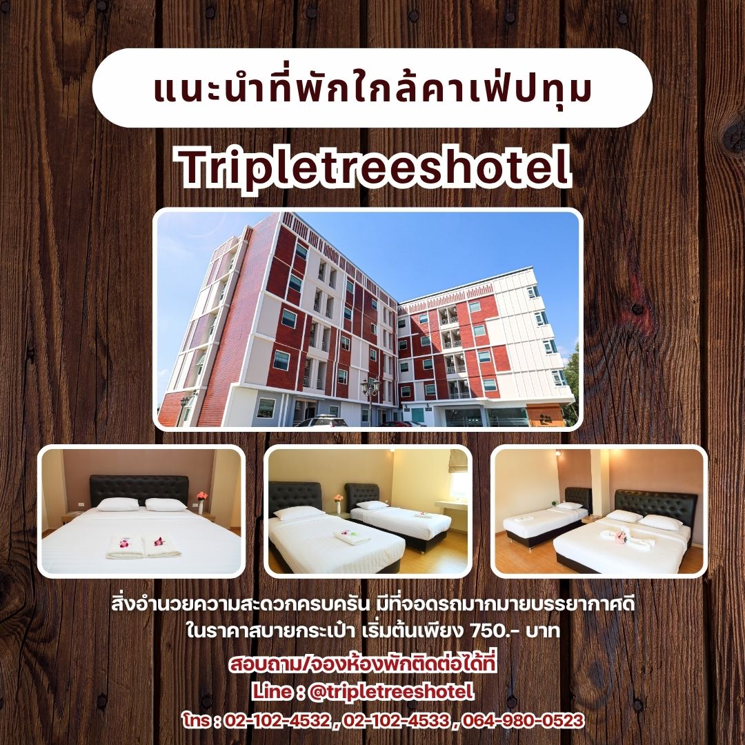 ห้องพักย่านปทุมธานี ห้องพักย่านปทุมธานี