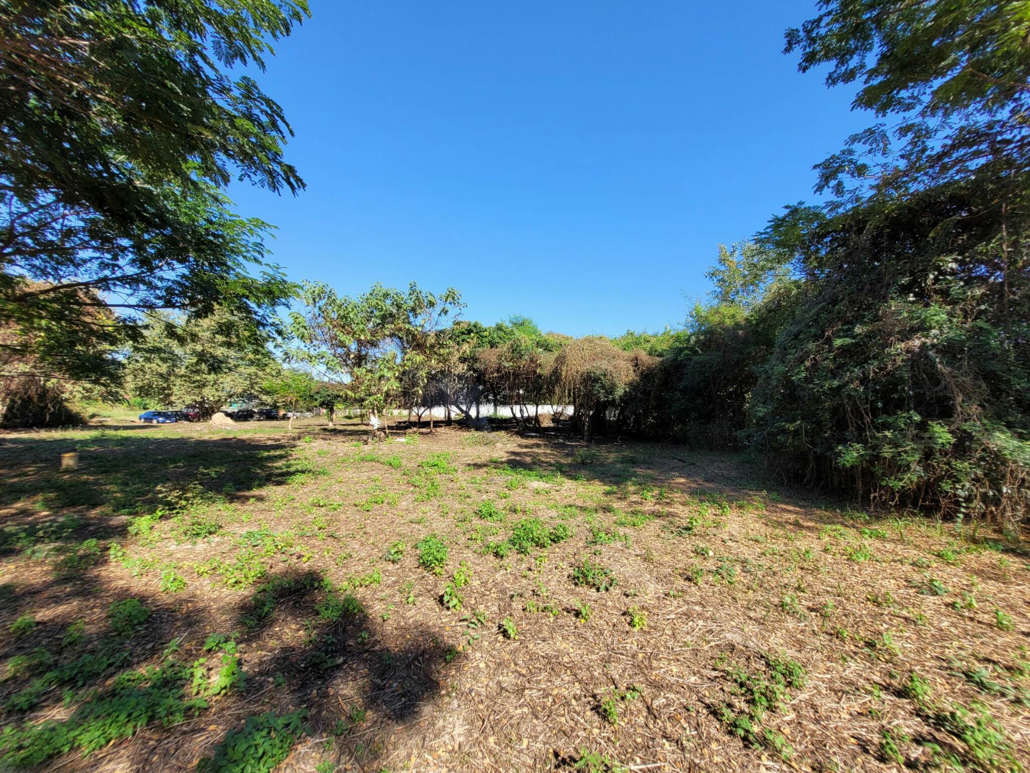 ขายที่ดินราคาถูก อ.เมืองลำปาง เจ้าของขายโดยตรง ใกล้โกบอลเฮ้าส์และเซเว่นสาขาปงแสนทองที่ดินสวยเหมาะทำธุรกิจบรรยากาศดีแบ่งขาย 3 ไร่ ติดต่อเจ้าของที่ 081-9525175 คุณอำนวย