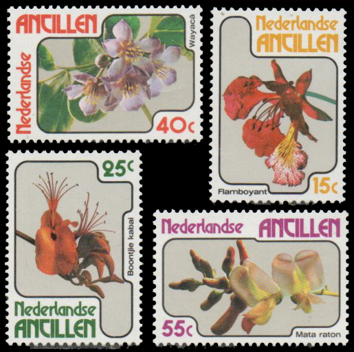 1978 Flowers