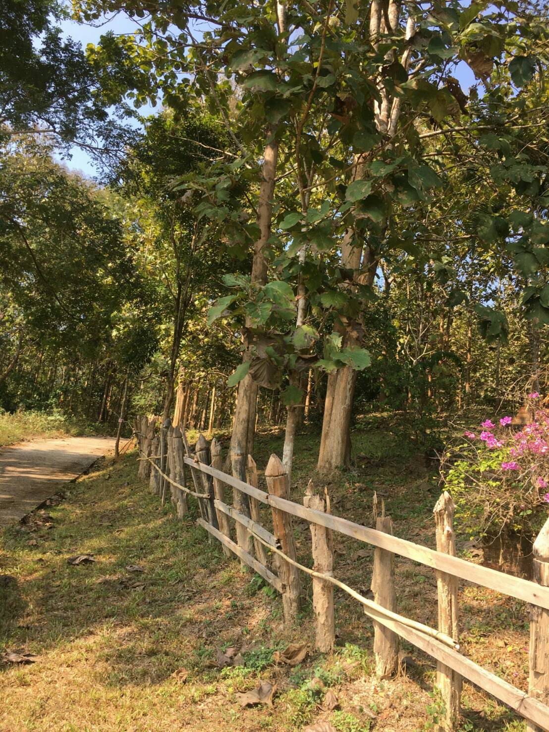 ขายที่ดินพร้อมสิ่งปลูกสร้าง อ.เมืองปาง จ.ลำปาง บริเวณล้อมรอบด้วยป่าสงวนแห่งชาติ ปกคลุมด้วยภูเขา และป่าไม้ร่มรื่น เงียบสงบปลอดภัยใกล้หมู่บ้านเดินทางสะดวกเหมาะสำหรับผู้รักในธรรมชาติ